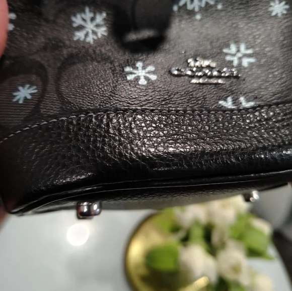 Coach Dempsey Snowflake Mini Bucket Bag - Picture 11 of 11